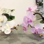 Compo orchidée artificielle
